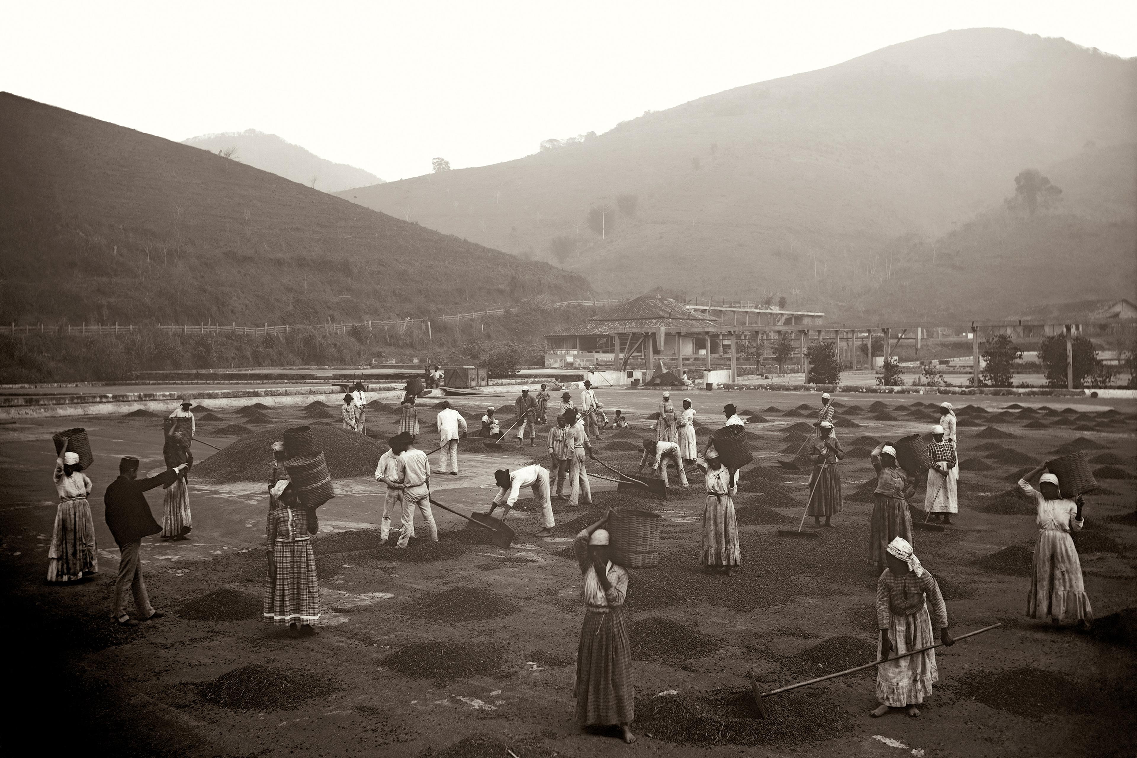 Sepia-toned photo of people labouring on a plantation with baskets and tools, set against a backdrop of hills and buildings.
