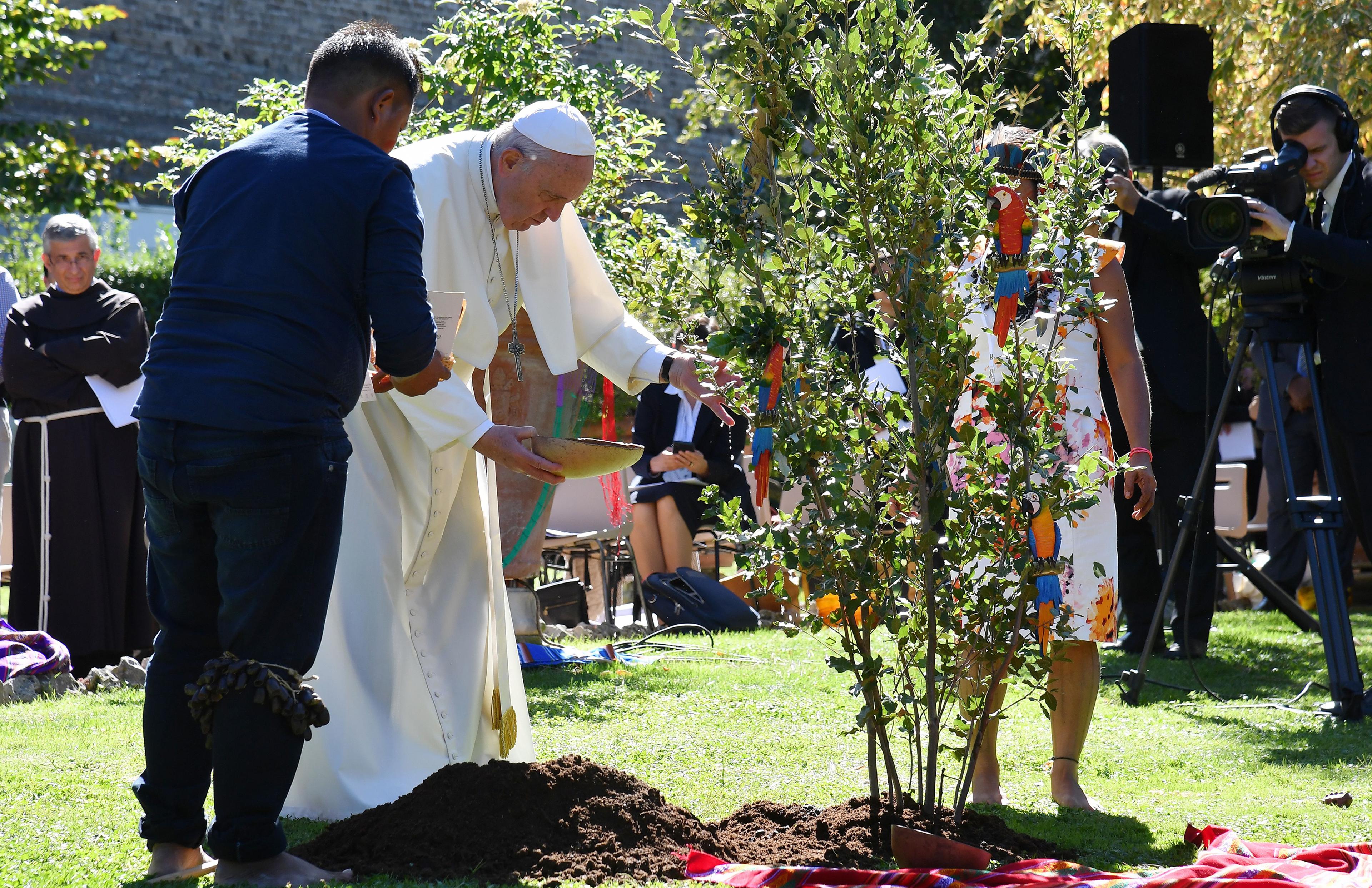 Pope Francis wearing white robes waters a freshly planted tree from a wooden bowl, a man holding a book and a woman wearing a colourful headdress beside him and a cameraman in the background