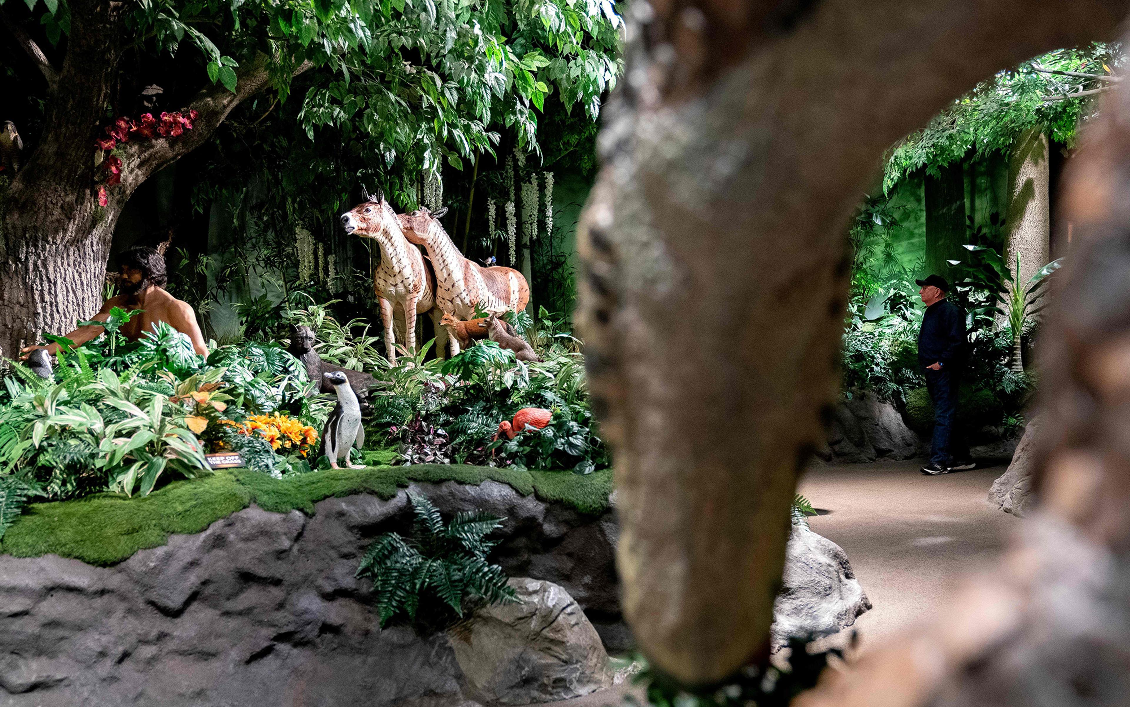 A man in casual clothes observes an indoor exhibit with lifelike animal and human statues surrounded by tropical plants.