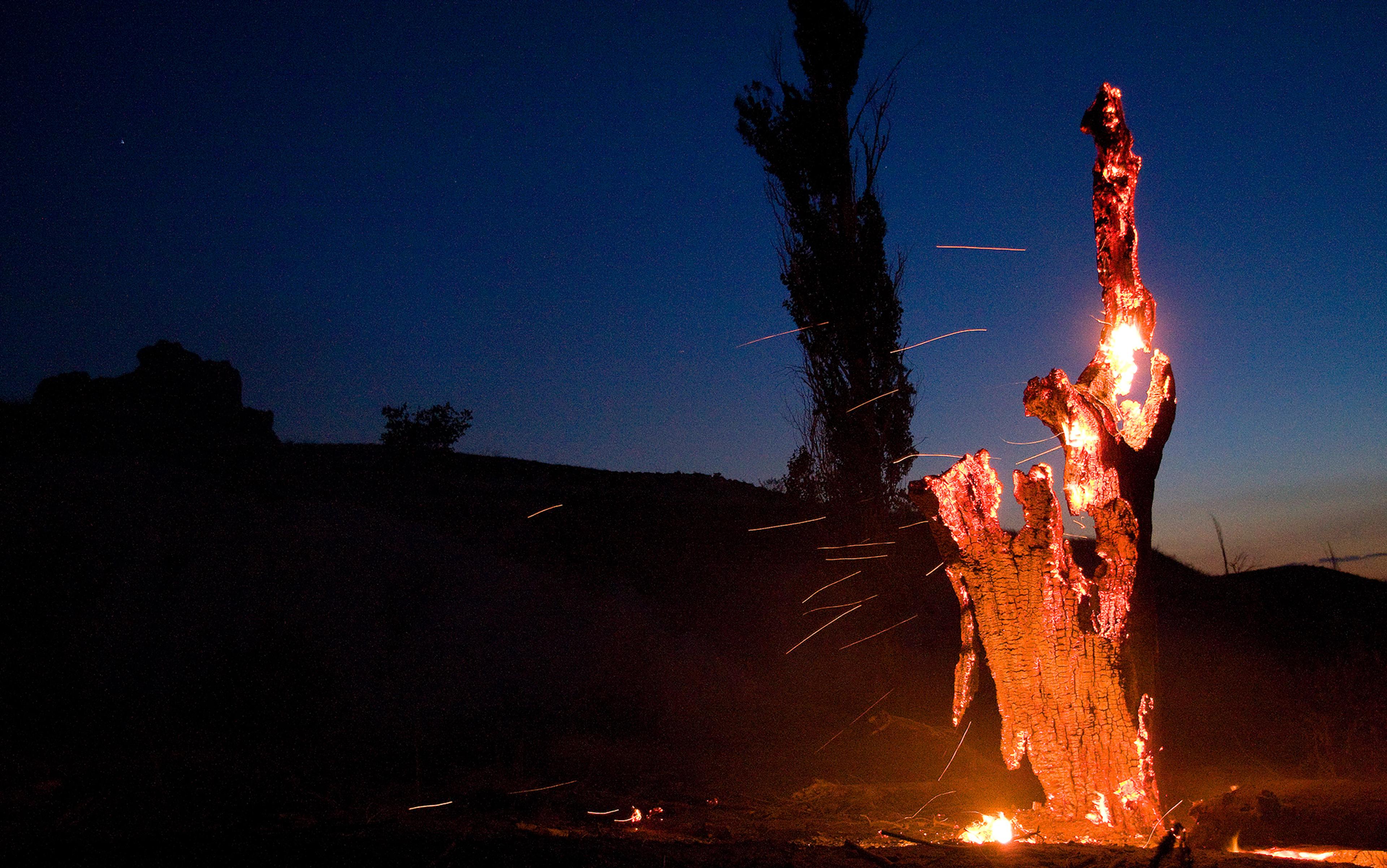 Photo of a burning tree trunk at night with sparks, surrounded by silhouettes of other trees and a deep blue sky.