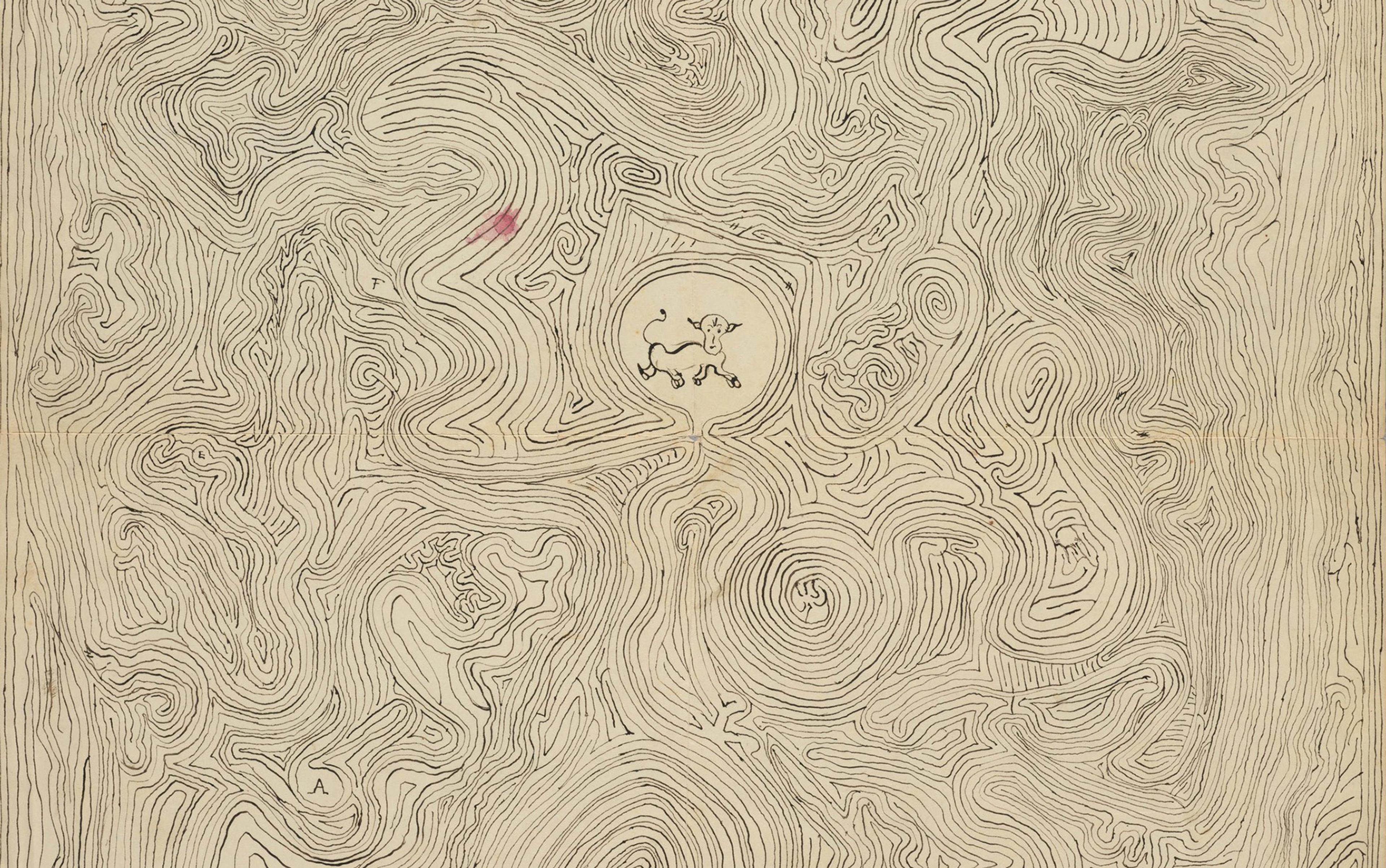 Abstract line drawing with swirling patterns and a small, cartoonish four-legged creature in the centre. Some areas are tinted with light colour.