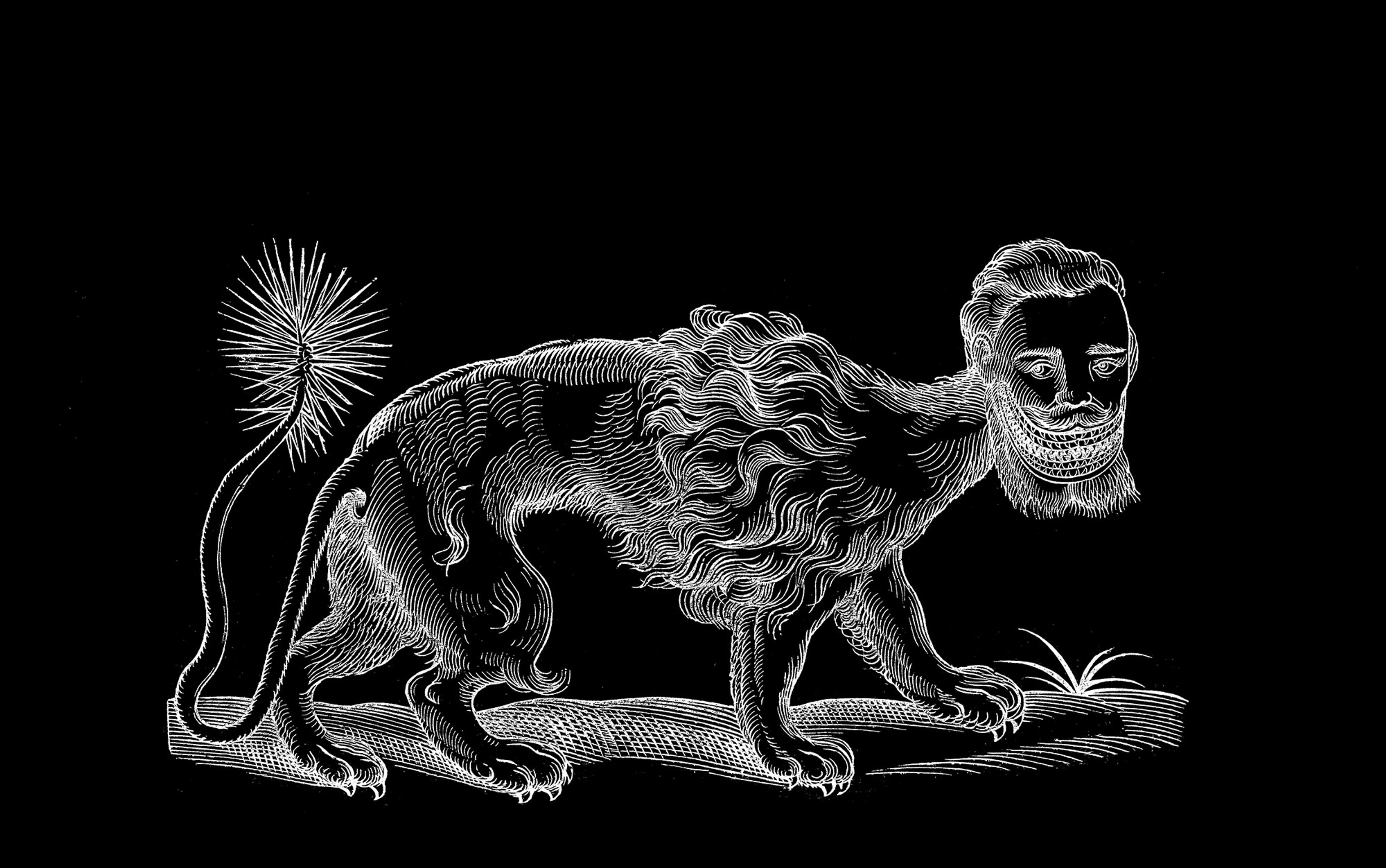 White line drawing of a fantastical creature with a lion’s body and a human face with a beard on a black background.