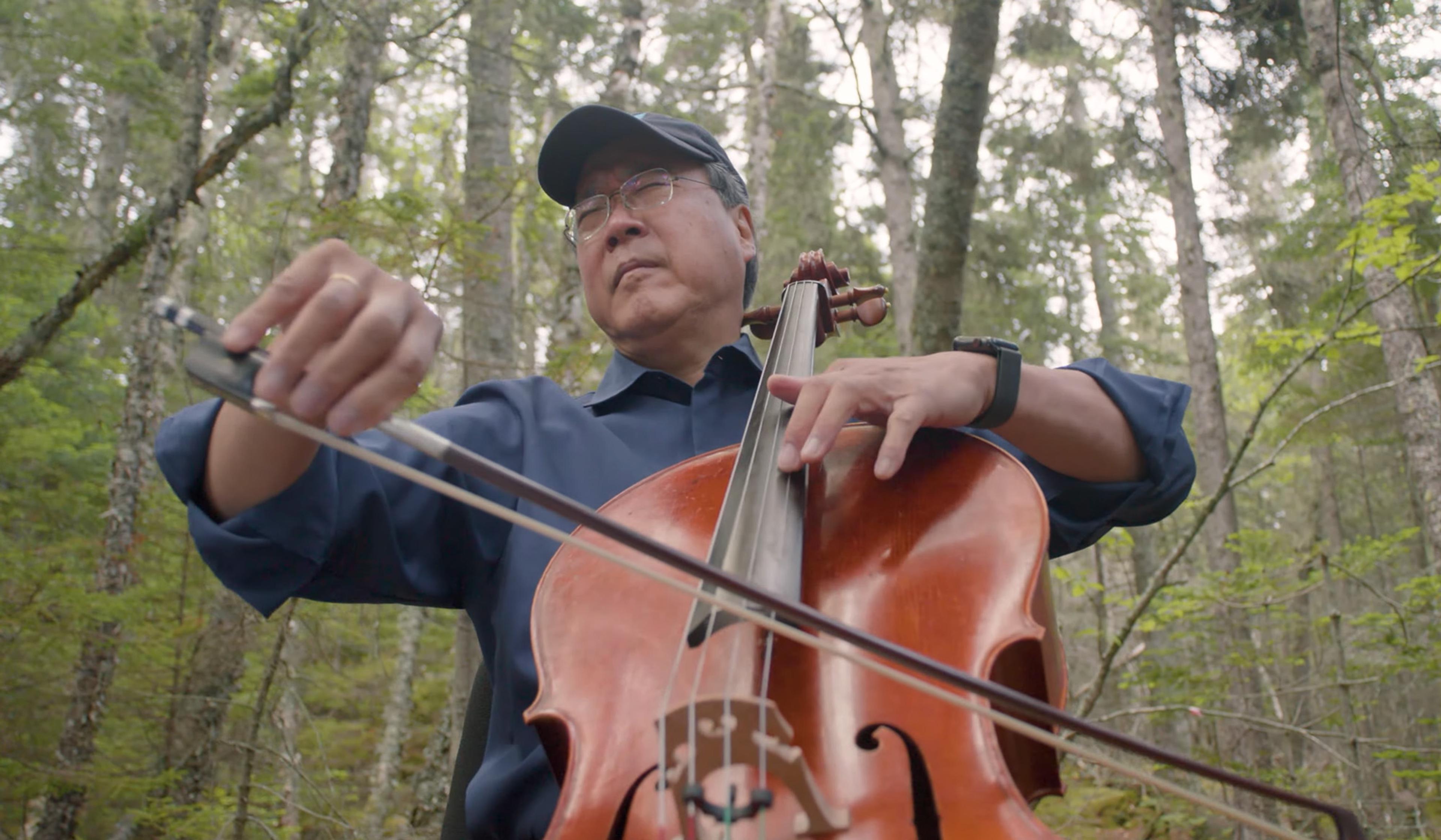 Man in a blue shirt and cap playing a cello in a forest setting.