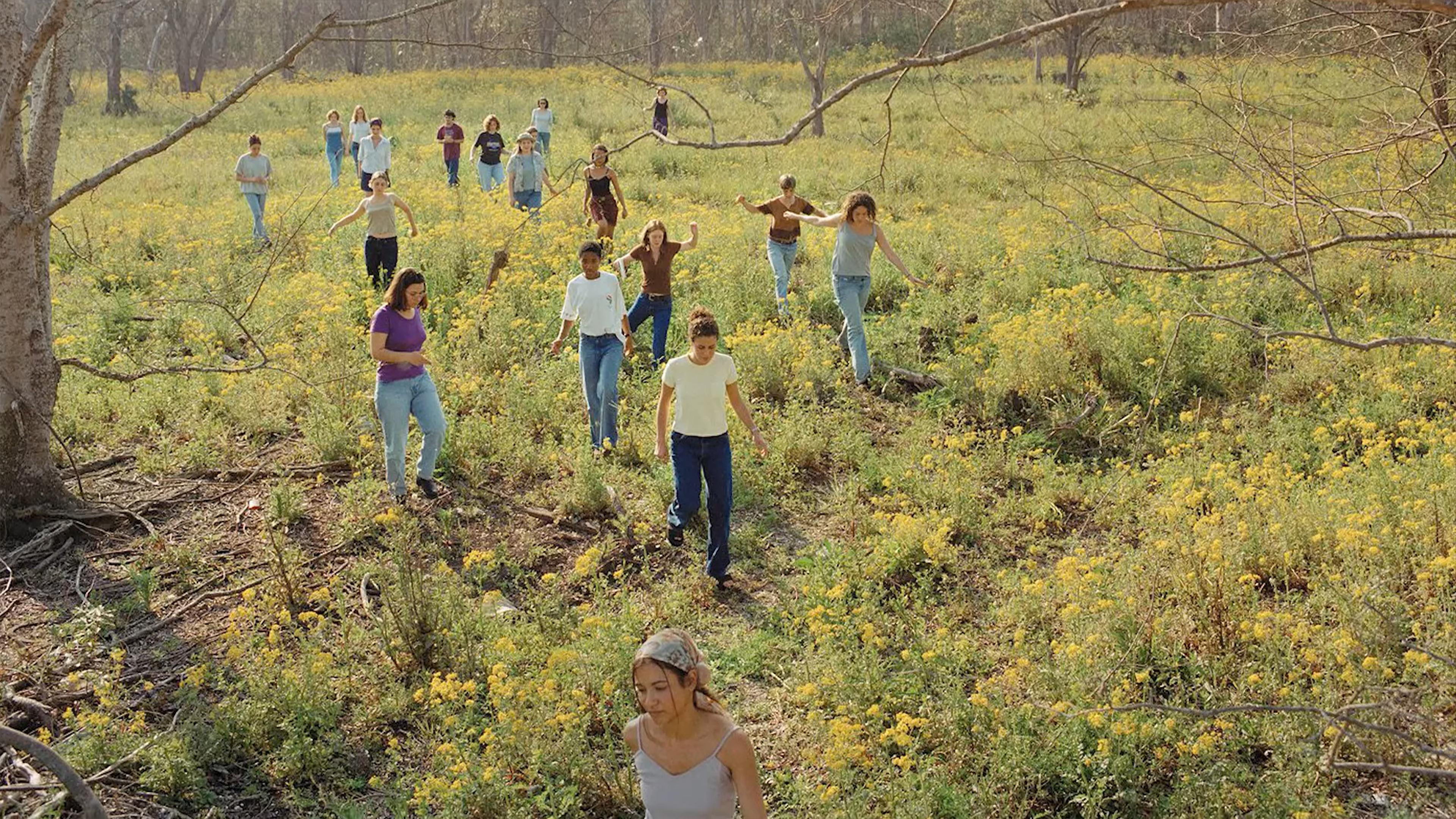 Photo of a group of people walking through a field with yellow flowers under bare trees on a sunny day.